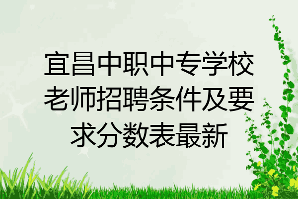 宜昌中职中专学校老师招聘条件及要求分数表最新