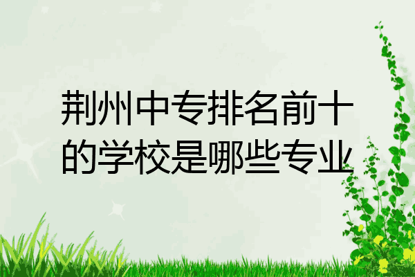 荆州中专排名前十的学校是哪些专业