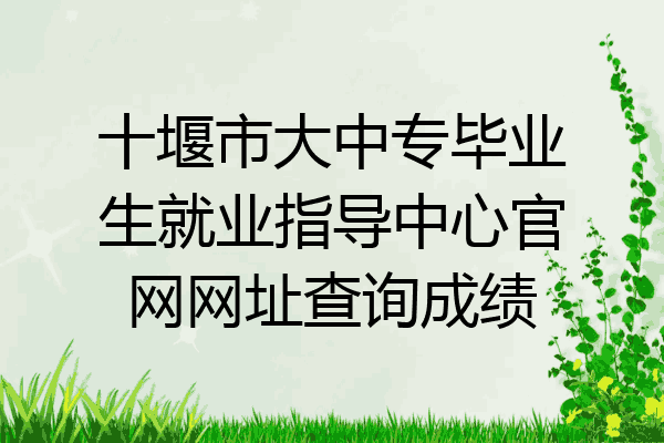 十堰市大中专毕业生就业指导中心官网网址查询成绩