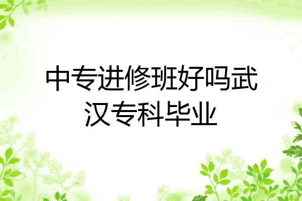 中专进修班好吗武汉专科毕业