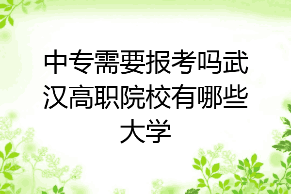 中专需要报考吗武汉高职院校有哪些大学
