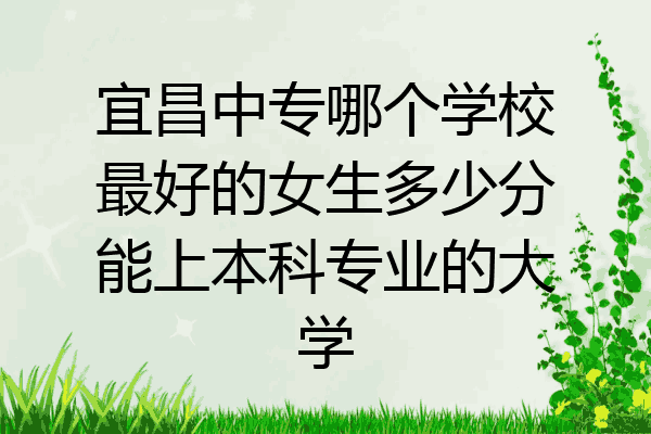宜昌中专哪个学校最好的女生多少分能上本科专业的大学