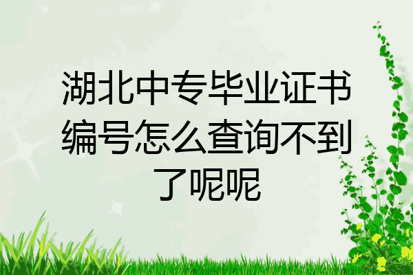 湖北中专毕业证书编号怎么查询不到了呢呢
