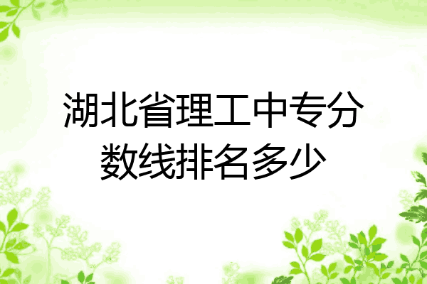 湖北省理工中专分数线排名多少
