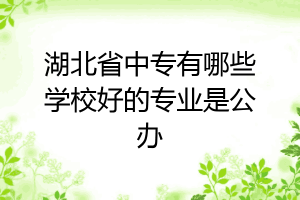 湖北省中专有哪些学校好的专业是公办