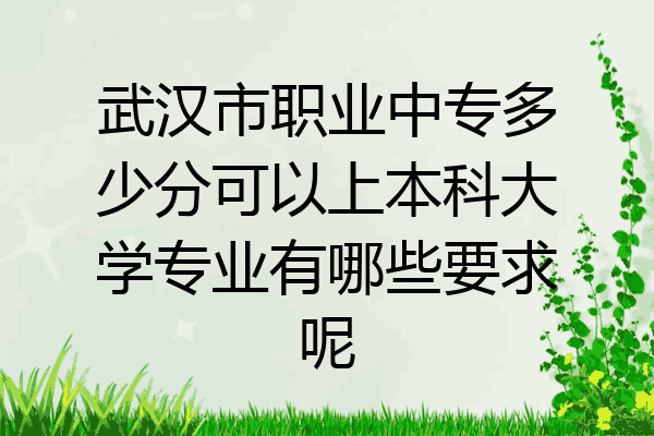 武汉市职业中专多少分可以上本科大学专业有哪些要求呢