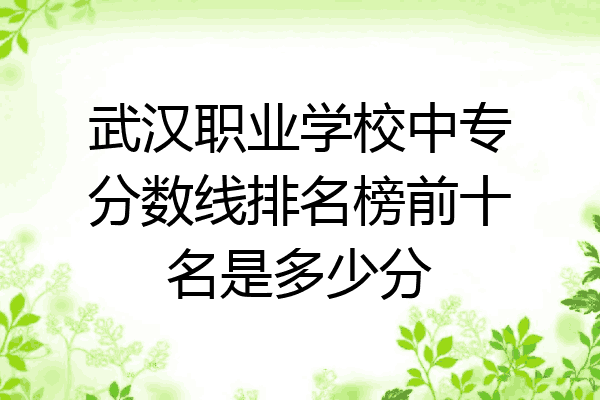 武汉职业学校中专分数线排名榜前十名是多少分