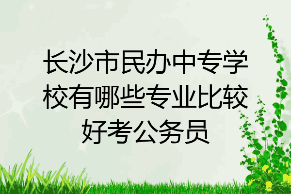 长沙市民办中专学校有哪些专业比较好考公务员