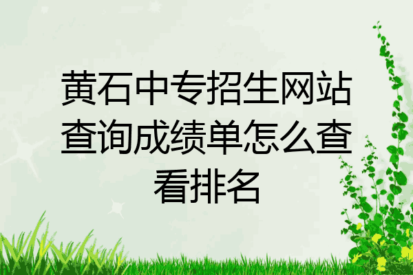 黄石中专招生网站查询成绩单怎么查看排名