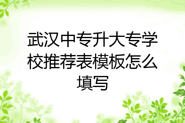 武汉中专升大专学校推荐表模板怎么填写