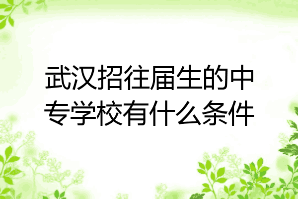 武汉招往届生的中专学校有什么条件
