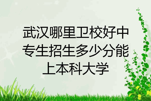 武汉哪里卫校好中专生招生多少分能上本科大学