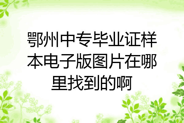 鄂州中专毕业证样本电子版图片在哪里找到的啊
