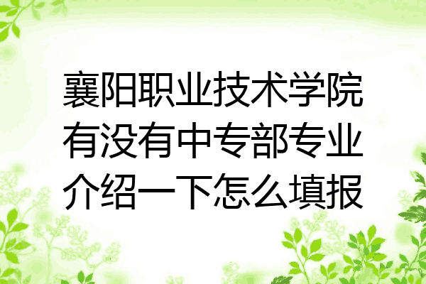 襄阳职业技术学院有没有中专部专业介绍一下怎么填报