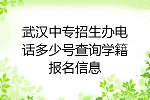 武汉中专招生办电话多少号查询学籍报名信息