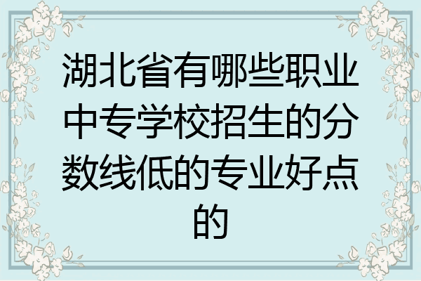 湖北省有哪些职业中专学校招生的分数线低的专业好点的