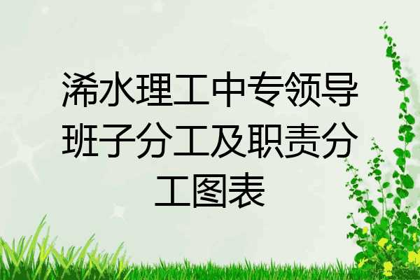 浠水理工中专领导班子分工及职责分工图表
