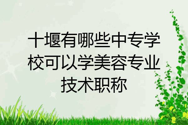 十堰有哪些中专学校可以学美容专业技术职称