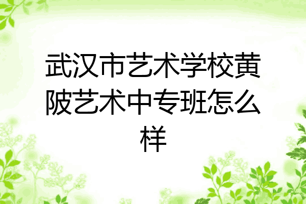 武汉市艺术学校黄陂艺术中专班怎么样