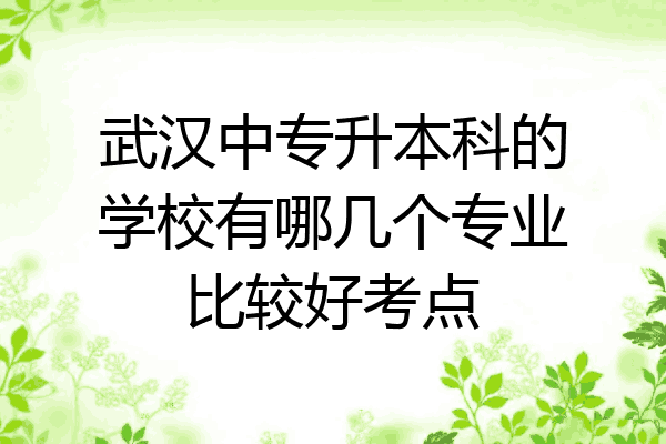 武汉中专升本科的学校有哪几个专业比较好考点