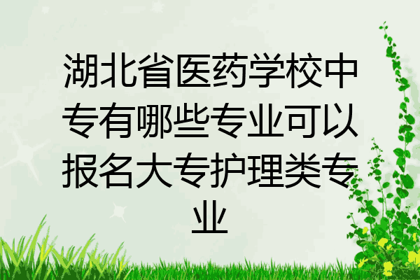 湖北省医药学校中专有哪些专业可以报名大专护理类专业