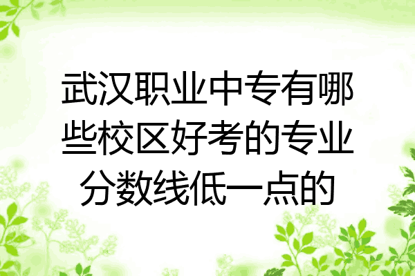 武汉职业中专有哪些校区好考的专业分数线低一点的