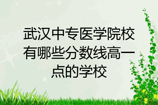 武汉中专医学院校有哪些分数线高一点的学校