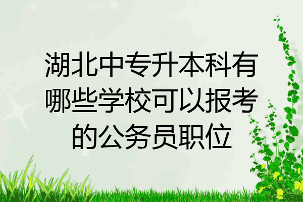 湖北中专升本科有哪些学校可以报考的公务员职位