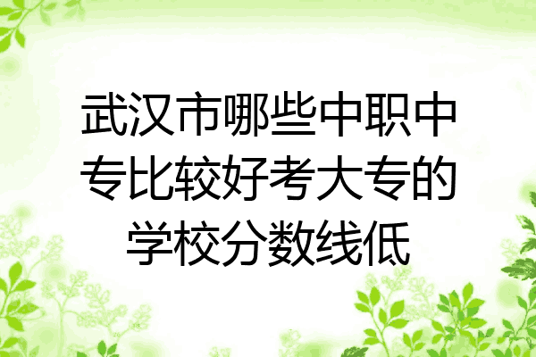 武汉市哪些中职中专比较好考大专的学校分数线低