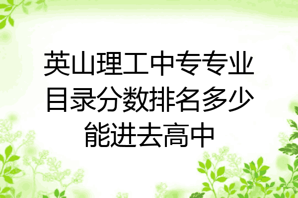 英山理工中专专业目录分数排名多少能进去高中