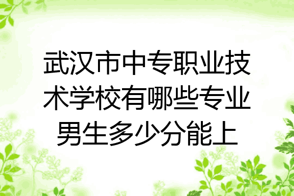 武汉市中专职业技术学校有哪些专业男生多少分能上