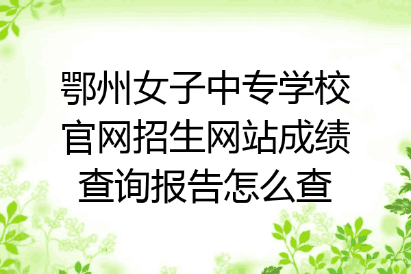 鄂州女子中专学校官网招生网站成绩查询报告怎么查