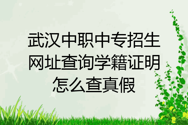 武汉中职中专招生网址查询学籍证明怎么查真假