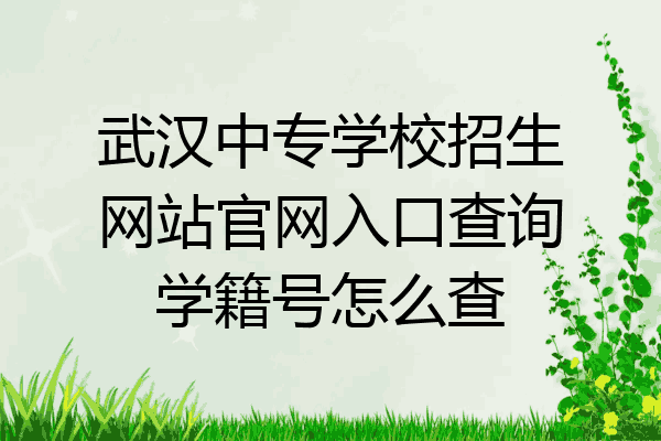 武汉中专学校招生网站官网入口查询学籍号怎么查