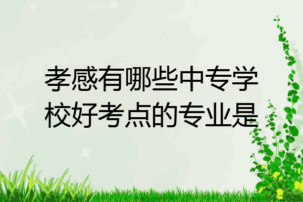 孝感有哪些中专学校好考点的专业是
