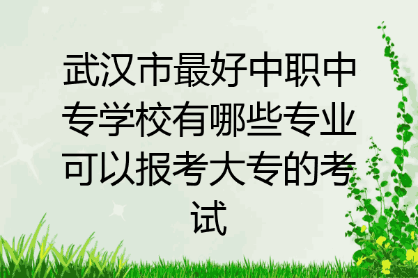 武汉市最好中职中专学校有哪些专业可以报考大专的考试
