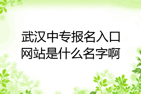 武汉中专报名入口网站是什么名字啊