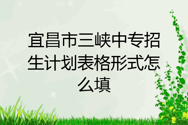 宜昌市三峡中专招生计划表格形式怎么填
