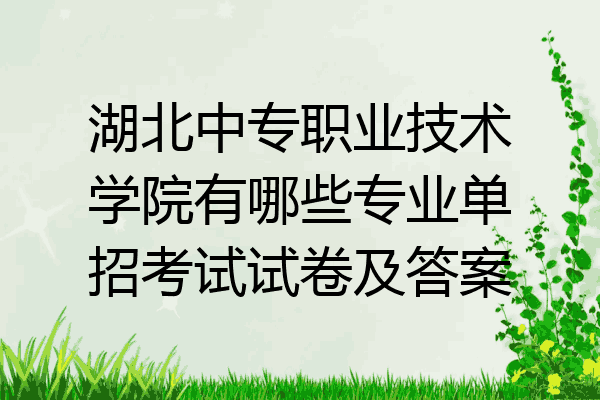 湖北中专职业技术学院有哪些专业单招考试试卷及答案