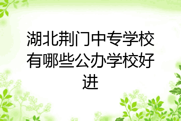 湖北荆门中专学校有哪些公办学校好进