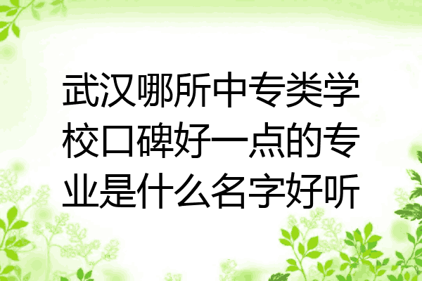 武汉哪所中专类学校口碑好一点的专业是什么名字好听