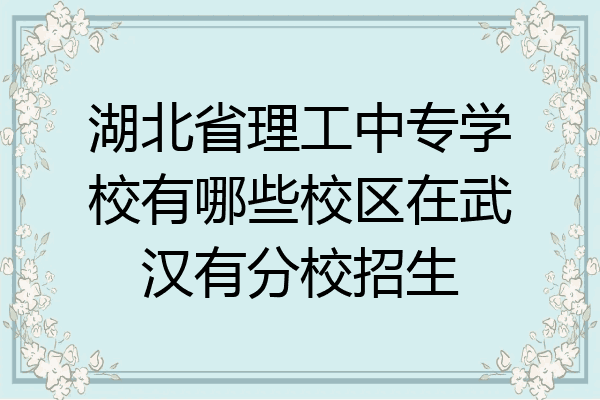 湖北省理工中专学校有哪些校区在武汉有分校招生
