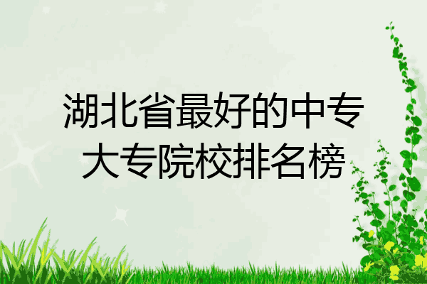 湖北省最好的中专大专院校排名榜