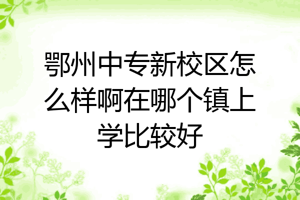 鄂州中专新校区怎么样啊在哪个镇上学比较好
