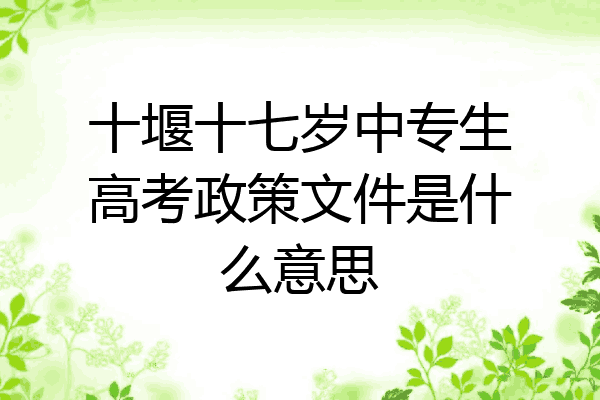 十堰十七岁中专生高考政策文件是什么意思