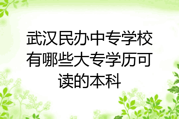 武汉民办中专学校有哪些大专学历可读的本科