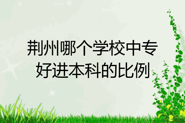 荆州哪个学校中专好进本科的比例