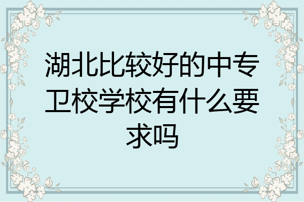湖北比较好的中专卫校学校有什么要求吗