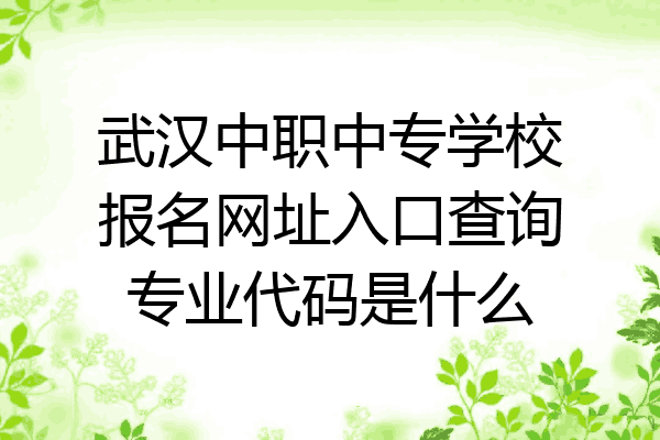 武汉中职中专学校报名网址入口查询专业代码是什么