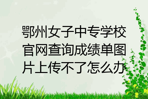 鄂州女子中专学校官网查询成绩单图片上传不了怎么办